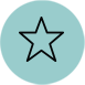 icon-star